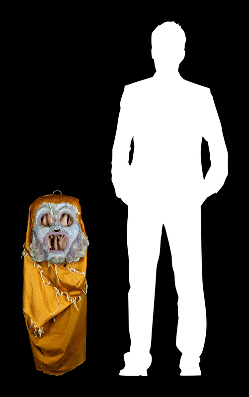 MODULAE MTM.2009.0063.0018