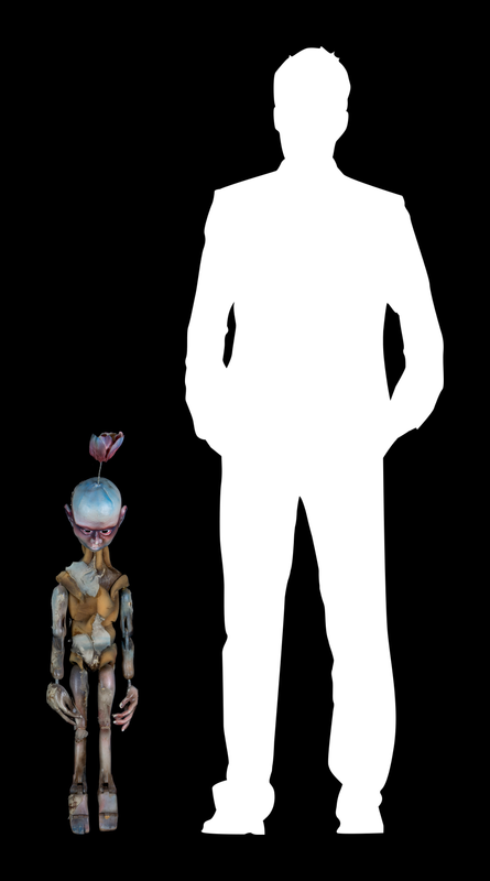 MODULAE MTM.2010.0066.0224