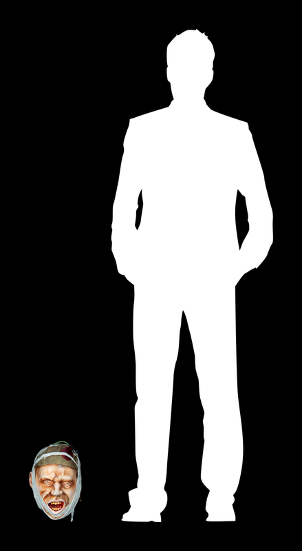 MODULAE MTM.2010.0066.0269