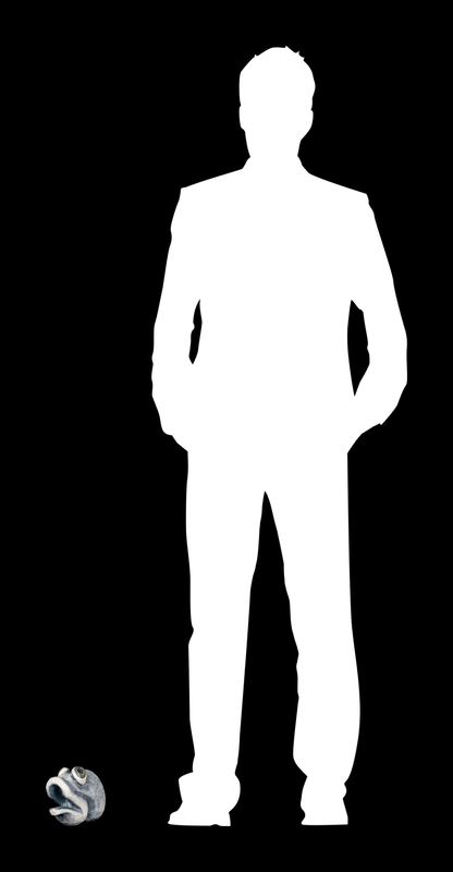 MODULAE MTM.2016.0138.0330