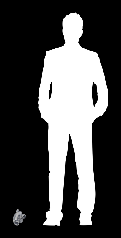 MODULAE MTM.2016.0138.0337