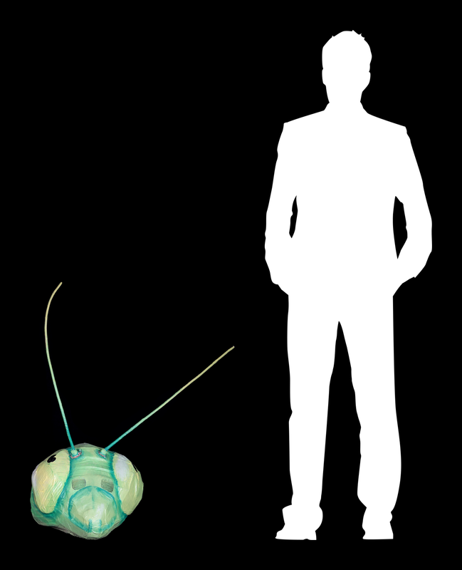 MODULAE MTM.2023.0287.0402