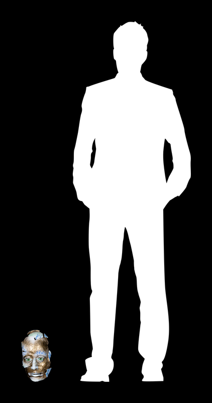 MODULAE MTM.2024.0299.0409